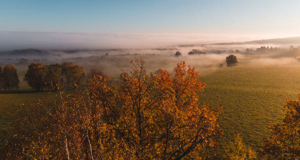 Aerial view to colorful autumn foliage trees with misty fog on meadow and blue sky, Czech landscape, colored photo Aerial view to colorful autumn foliage trees with misty fog on meadow and blue sky, Czech landscape, colored photo autumn field tree mountain stock pictures, royalty-free photos & images