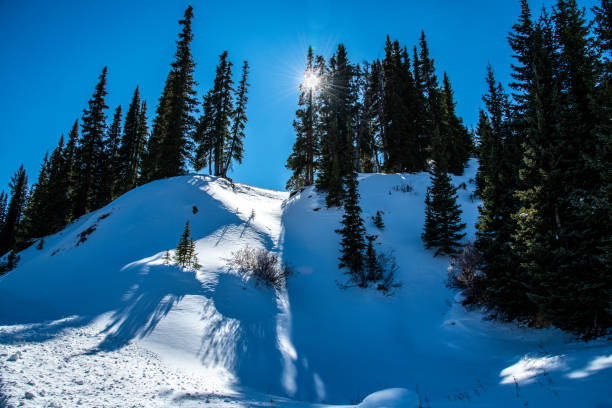 istock Pristine Snowy Landscape in Colorado 1183414602