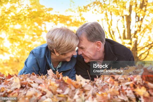 Cute Mature Couple Face To Face In Fall Leaves Stock Photo - Download Image Now - Baby Boomer, 65-69 Years, Active Seniors