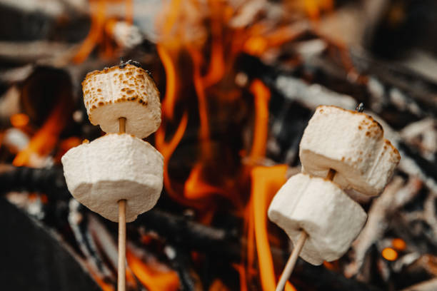 istock Marshmallow on a stick fried at a stake 1183420427