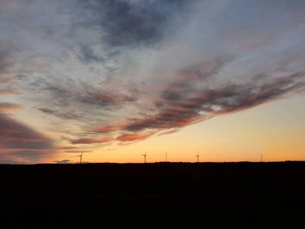 istock Bushes and wind turbines at twilight 1183423639