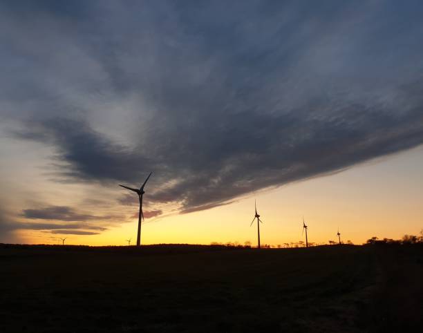 istock Bushes and wind turbines at twilight 1183423642