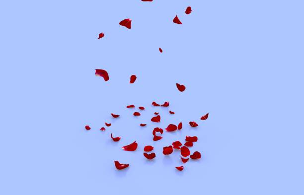 istock Petals of a red rose fly on a blue reflecting floor 1183424416