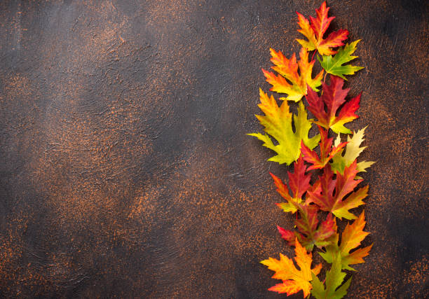 istock Autumn background with maple leaves 1183426140