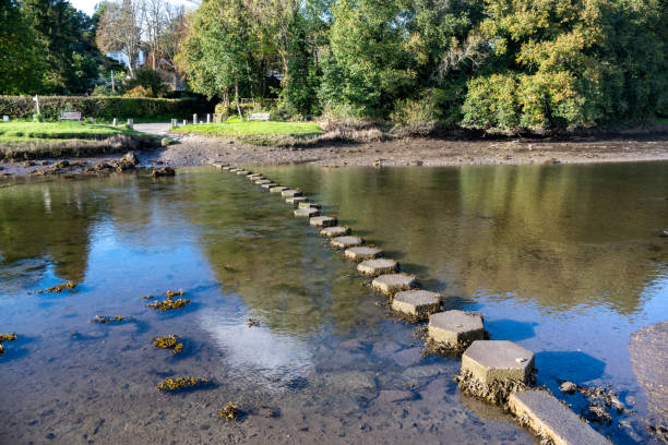 istock Stepping stones over a river exposed at low tide 1183427254