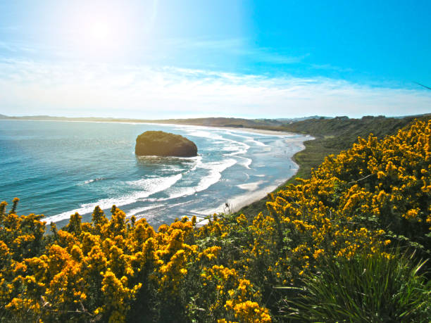 praia maravilhosa na foto conservada em estoque de chiloé - castro - fotografias e filmes do acervo