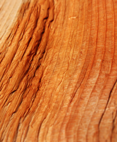 Cedar log split with an axe and oiled to enhance the natural colour.  Focus on the midground.