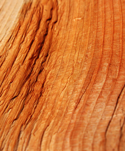 Rough Cedar surface Cedar log split with an axe and oiled to enhance the natural colour.  Focus on the midground. cedar stock pictures, royalty-free photos & images