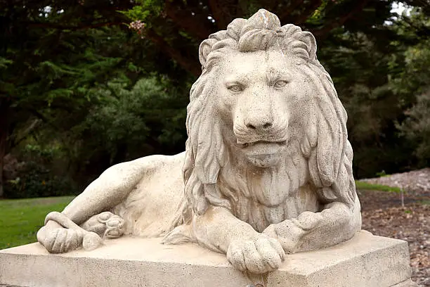 Photo of Stone Lion