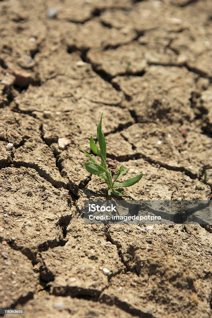 El calentamiento global - Foto de stock de Anticipación libre de derechos