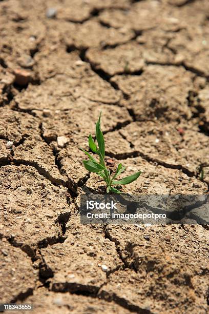 El Calentamiento Global Foto de stock y más banco de imágenes de Anticipación - Anticipación, Reforestación, Agricultura