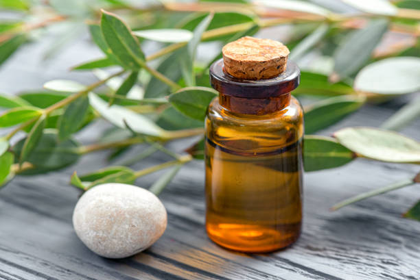istock Eucalyptus essential oil. 1183437517