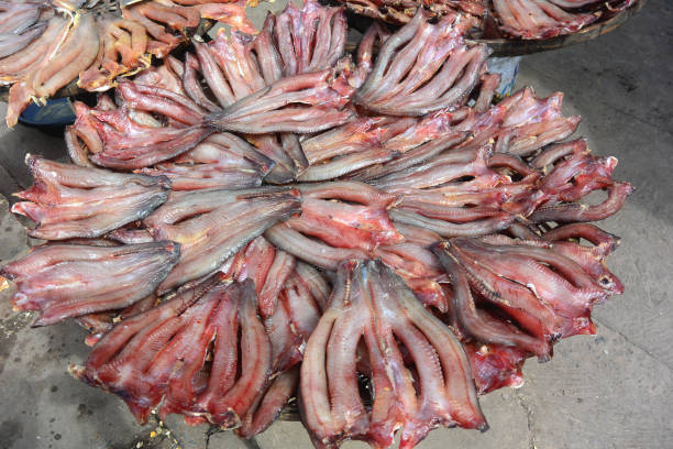 istock Sun-dried fish sprinkled with pepper and salt 3 1183438414