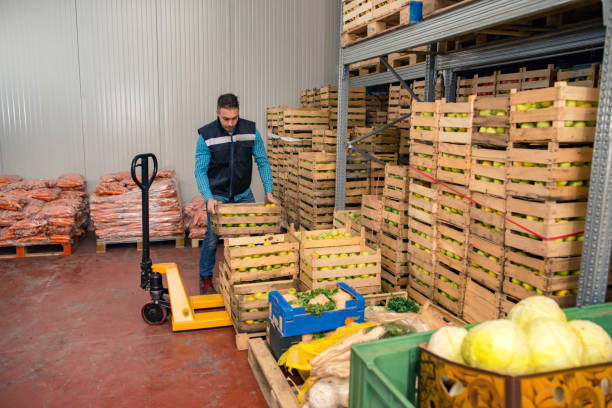 istock Fresh fruits and vegetables in warehouse 1183438600