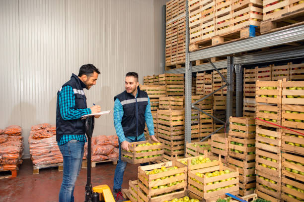 istock Fresh fruits and vegetables in warehouse 1183439434
