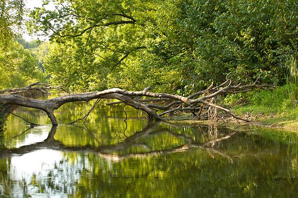 istock Canal of the James River 118344213