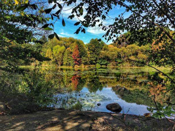 Prospect Park Pictures | Download Free Images on Unsplash