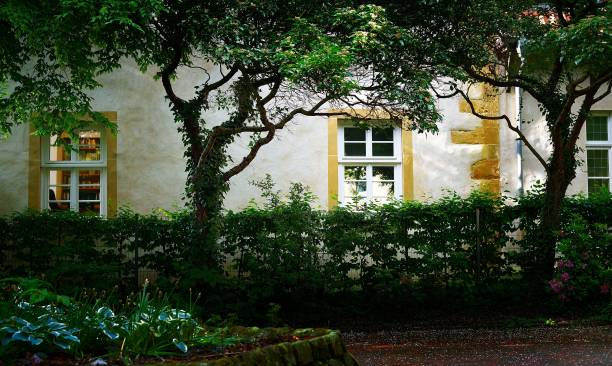 a quiet cobbled street with trees and bushes in herford germany - herford imagens e fotografias de stock