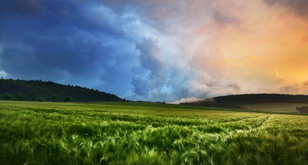 istock Fresh lush green meadow against cloudy dramatic sky on a summer evening with a dramatic sunset sky 1183446277