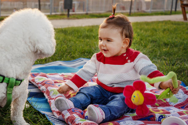 istock Little girl with poodle dog 1183446358