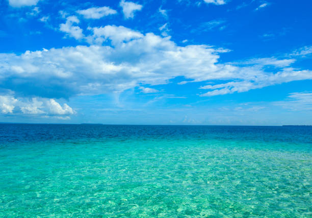 istock Beautiful sky and blue sea 1183447046