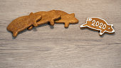 New Year. PF 2020. Sweet aromatic piggy. Gingerbread cookies in pig shape for good luck. Icing decorated sweets on wooden table