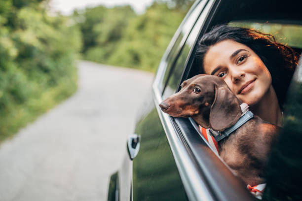 istock Beautiful woman with dog 1183452522