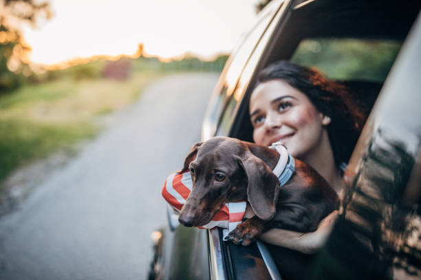 istock Beautiful woman with dog 1183453107