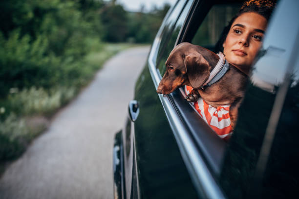 istock Beautiful woman with dog 1183453138