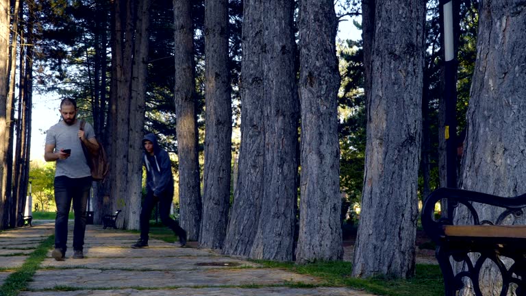 Thief trying to steal man's backpack in public park