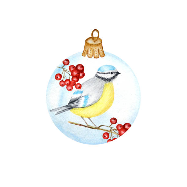 aquarell weihnachten glas kugel aus roten rowan zweige, winter vogel blaumeise. grußkarte design-vorlage mit tomtit vögel. vintage-stil. neujahrskonzept auf weißem hintergrund isoliert - bush bird tree wood stock-grafiken, -clipart, -cartoons und -symbole