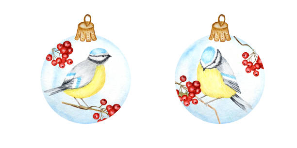 aquarell weihnachten glas kugel set, aus roten rowan zweige, winter vogel blaumeise. grußkarte design-vorlage mit tomtit vögel. vintage-stil. neujahrskonzept auf weißem hintergrund isoliert - bush bird tree wood stock-grafiken, -clipart, -cartoons und -symbole