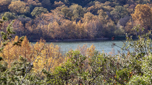 istock Autumn Colored Trees Surrounding Lake 1183459415