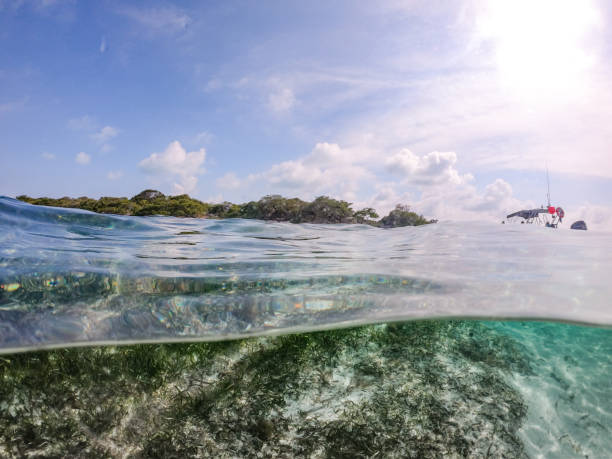 istock Isla Mujeres Cancun 1183462682