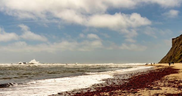 People enjoying the outdoors at Mavericks Beach, Half Moon Bay, Highway 1, Northern California. People enjoying the outdoors at Mavericks Beach, Half Moon Bay, Highway 1, Northern California. mavericks california stock pictures, royalty-free photos & images