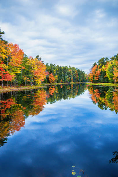 istock Fall foliage colors reflected in still lake water on a beautiful autumn day in New England 1183469708