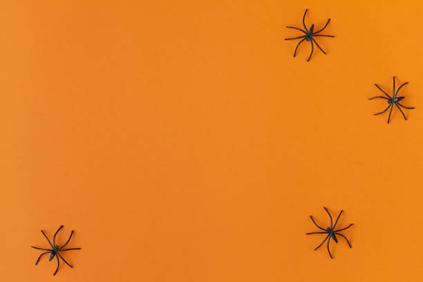 istock background for halloween, spiders on an orange table 1183474001