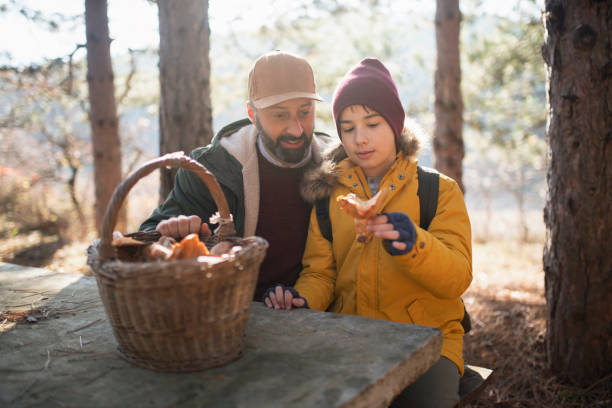 istock Autumn – mushroom season 1183476448