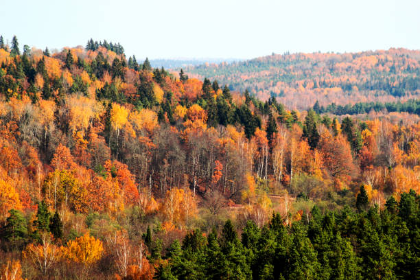 istock Colorful autumn landscape 1183481293
