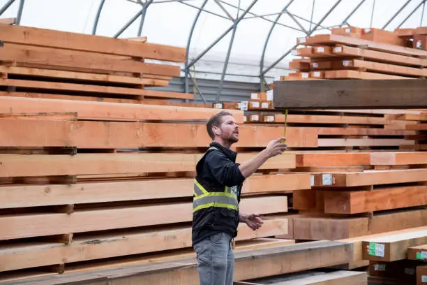 A mid adult male works in a large industrial timber factory. He measures the wood before he sends it for cutting. Man takes pride in his work