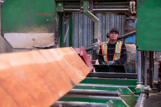 Photo of Cutting large pieces of wood in the industrial timber factory