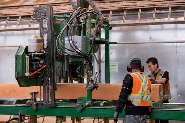 Photo of Men working in an Industrial timber manufacturing facility