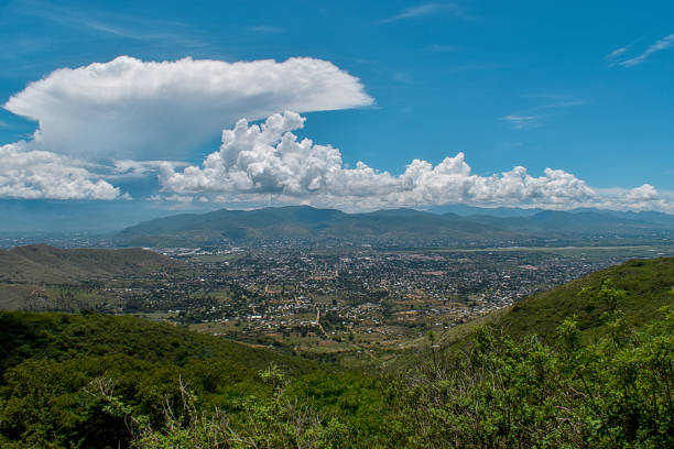 natural water in oaxaca around plants