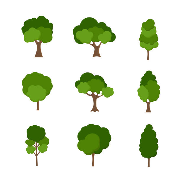 ilustrações, clipart, desenhos animados e ícones de árvore verde fértil uma variedade de formulários no fundo branco, jogo de vários jogos de árvore, árvores para decorar jardins e ilustração e ícone home do designs.vector - globe grape