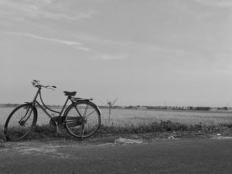 Antique old fashioned bicycles on the curb and rice fields in black and white mode