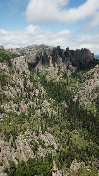 istock Aerial view of Custer state park 1183493438
