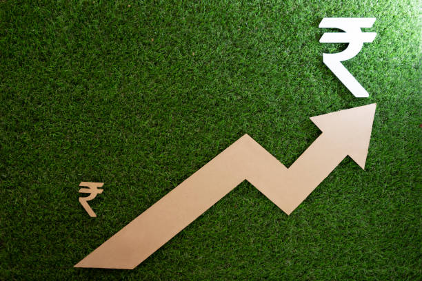 istock Money Banking and Saving 1183495543