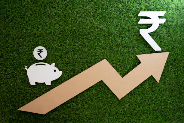 istock Money Banking and Saving 1183496079
