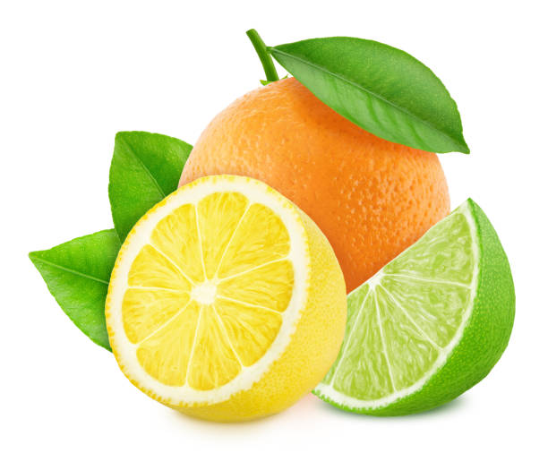 istock Multicolored composition with different citrus fruits and leaves isolated on a white background. 1183497266