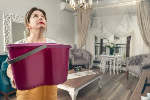 house ceiling is flowing - woman holding bucket while water droplets leak from ceiling - burst pipe imagens e fotografias de stock